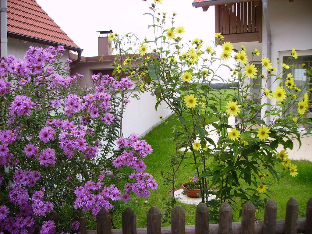 Villa Wiflinger Graben Einfamilienhaus Wörth Exterior foto